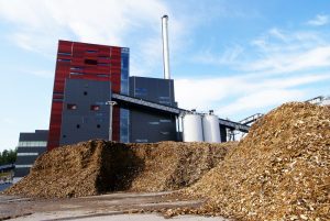 duża ilość troczyny oraz suszarnia do biomasy